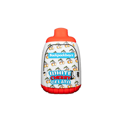 BackPackBoyz 1G